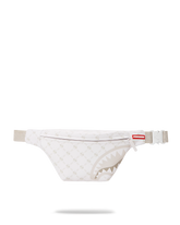 MONEY PATTERN POWDER SAVVY CROSSBODY