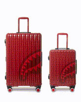 VENI VIDI VICI LUGGAGE