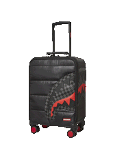 SNOWWSTORM PUFFER IMPERIAL CARRY-ON LUGGAGE