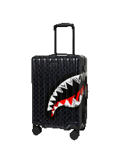 MIDNIGHT SHADOW CARRY-ON LUGGAGE