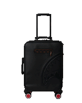 CHECKPOINT ROYALE CARRY-ON LUGGAGE