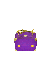 SHARKS OF THE GOLD OCEAN JEWELRY CASE
