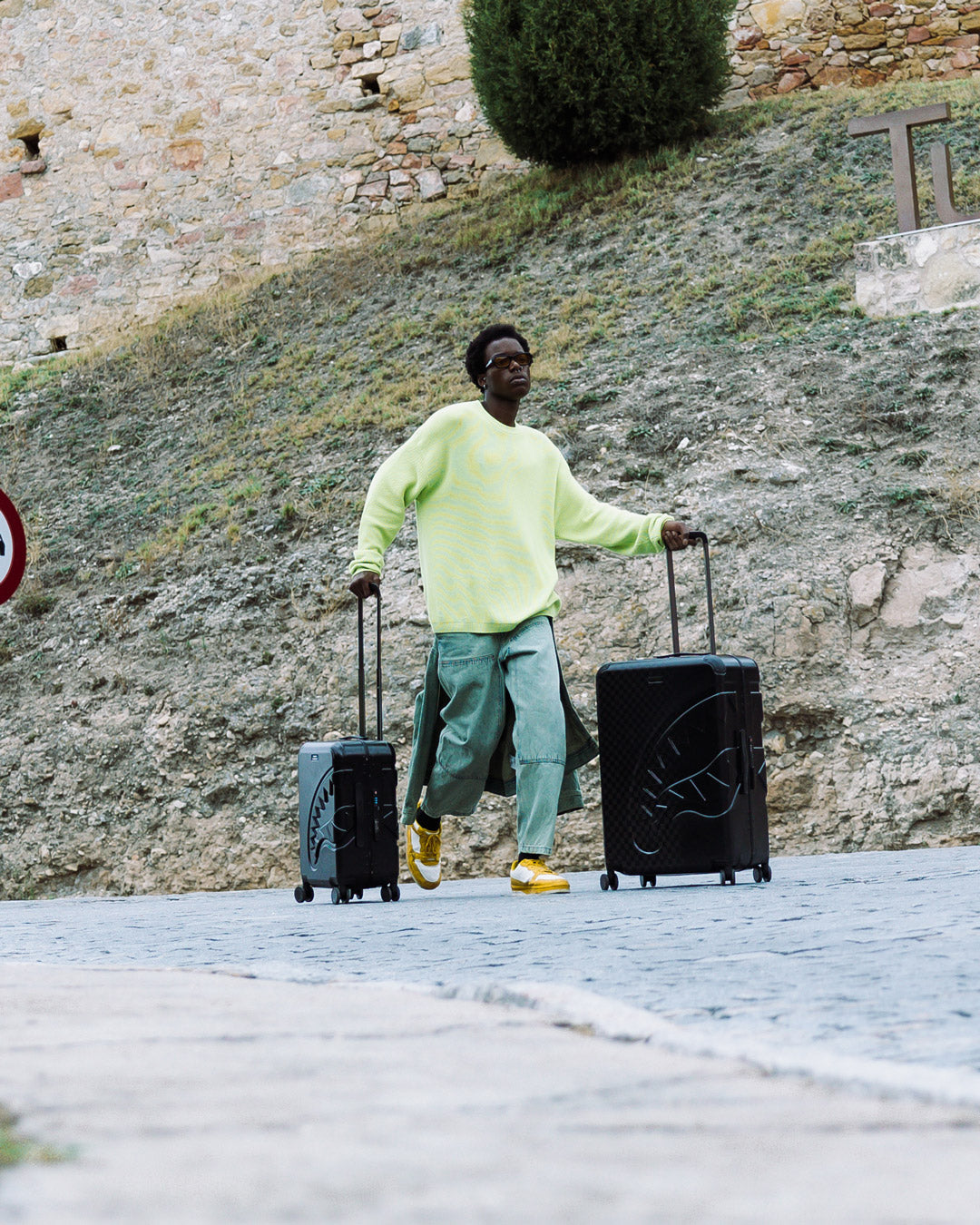 NIGHTSHARKS WORLDWIDE SHARKITECTURE CARRY-ON LUGGAGE