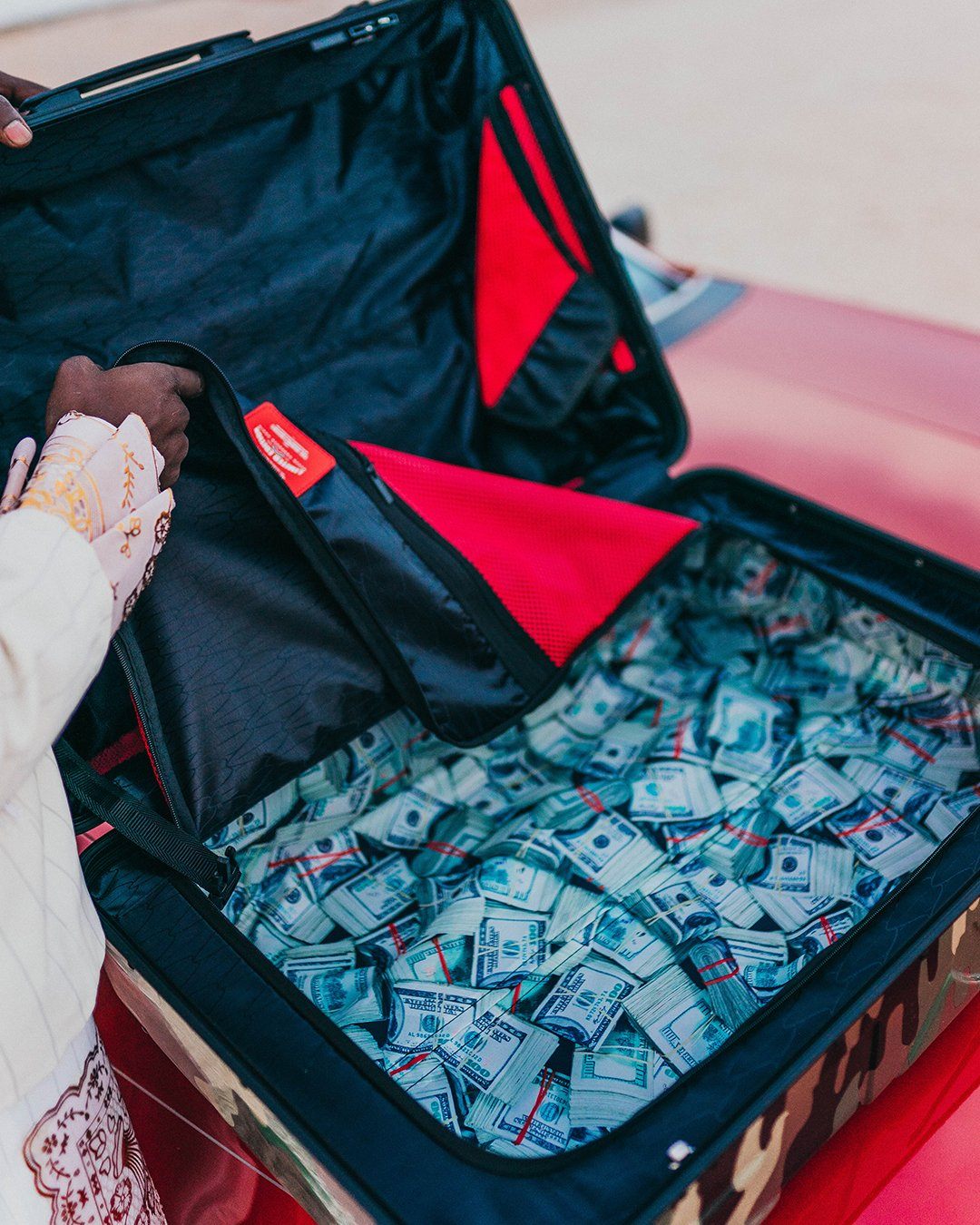 JUNGLE PARIS 29.5” FULL-SIZE SHARKITECTURE LUGGAGE