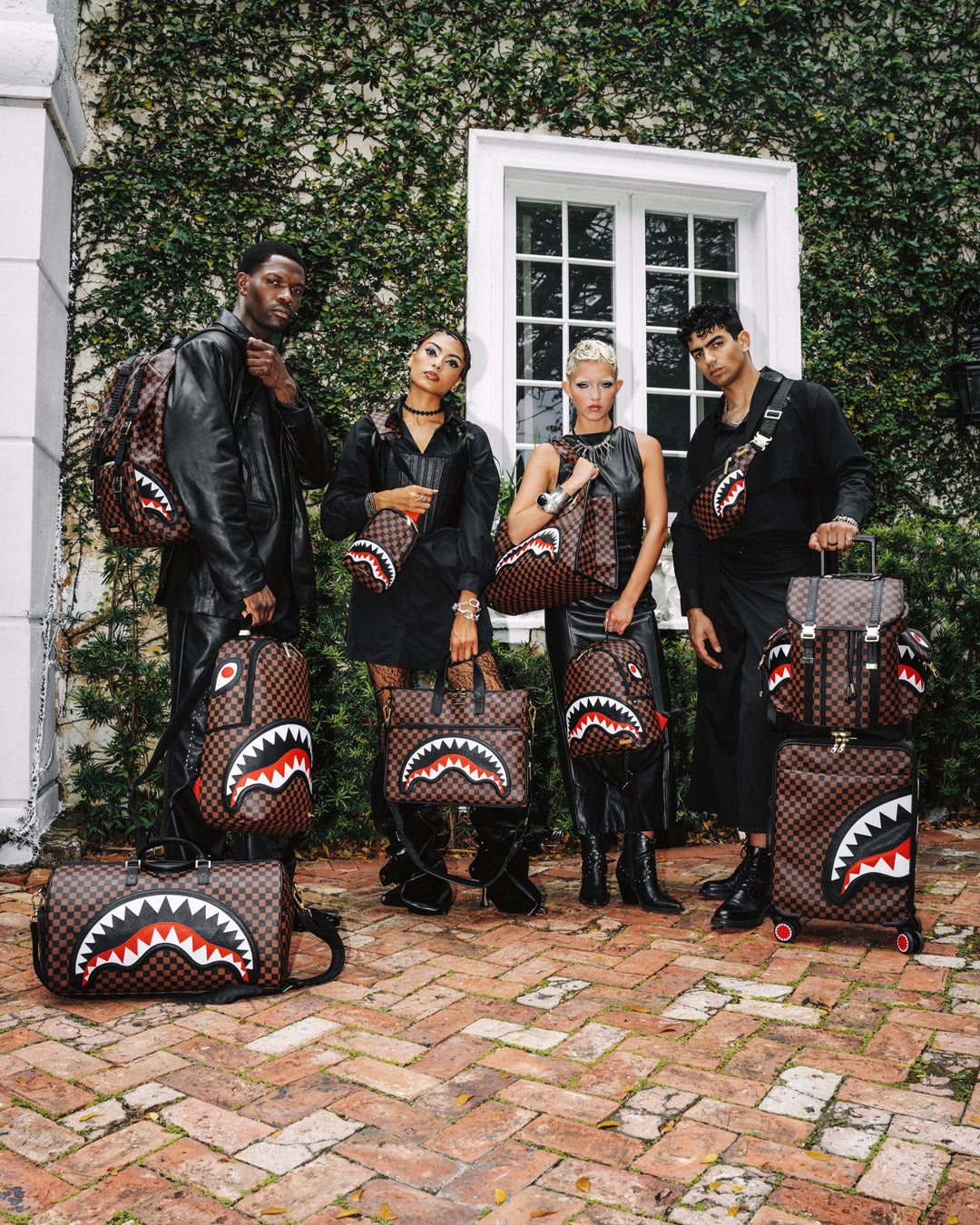 SAWTOOTH SHARKS IN PARIS CARRY-ON LUGGAGE