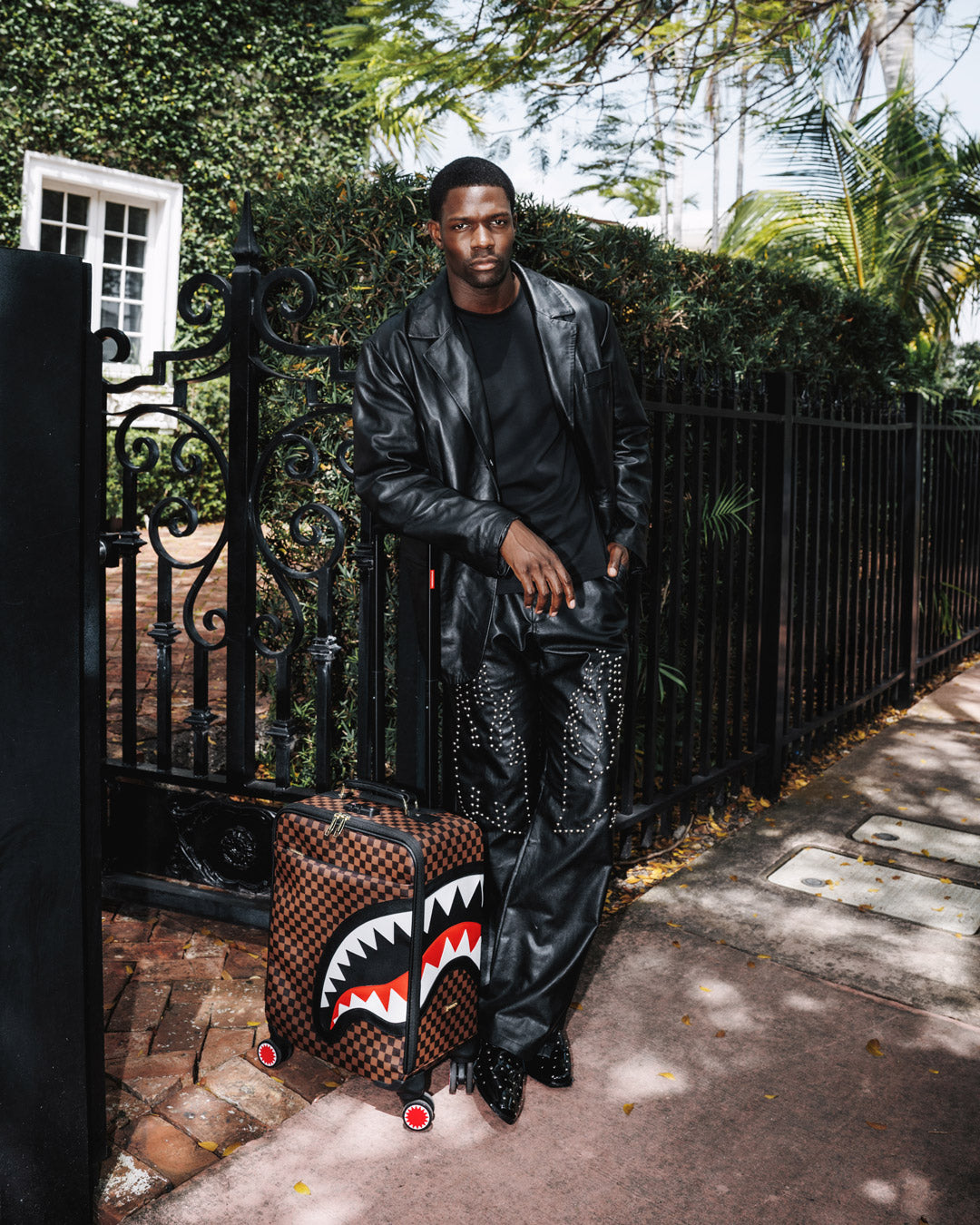 SAWTOOTH SHARKS IN PARIS CARRY-ON LUGGAGE